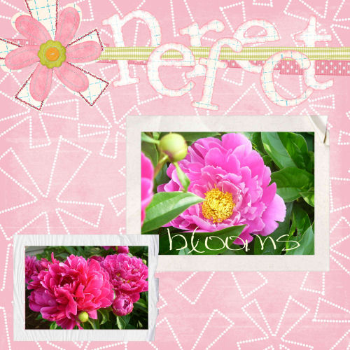 perfect_blooms