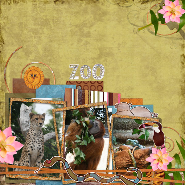 perth-Zoocookieweb