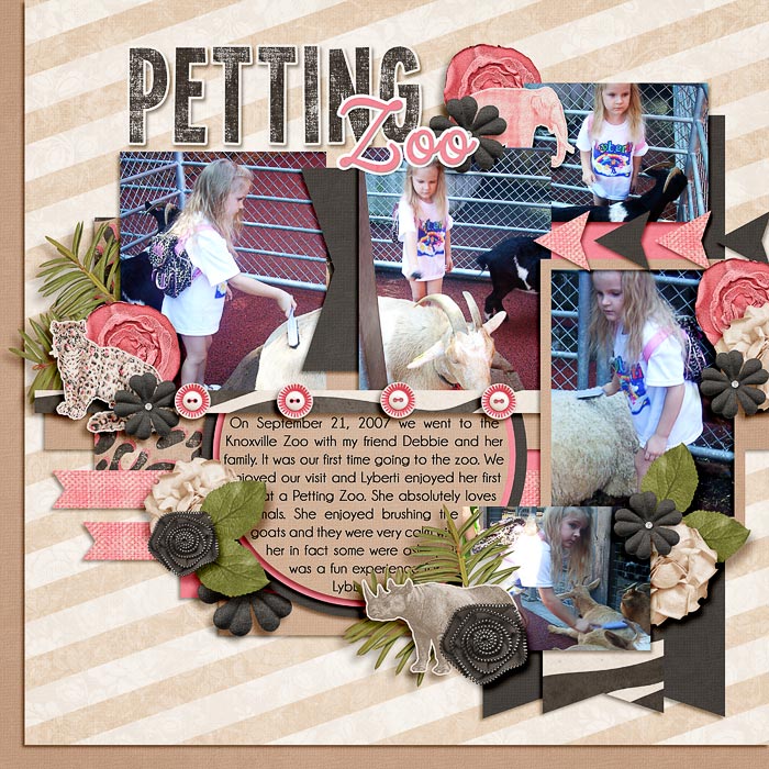 pettingzoo1
