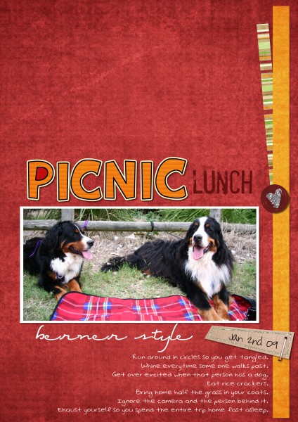 picnic_lunch