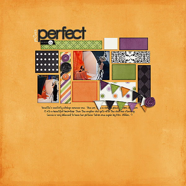picture_perfect1