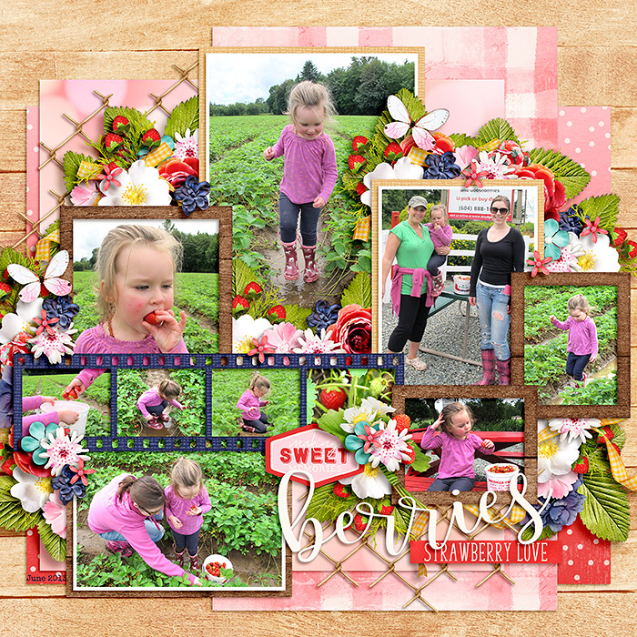 ponytails_DSI-BerryPicking_showcase10_1web