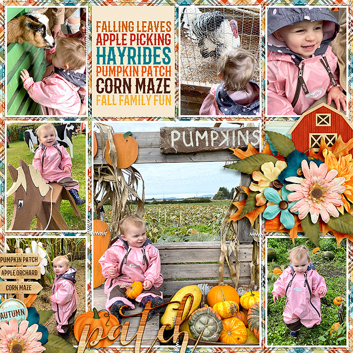 ponytails_DSI-HarvestHappenings_treed-stitchedgrids2_2web