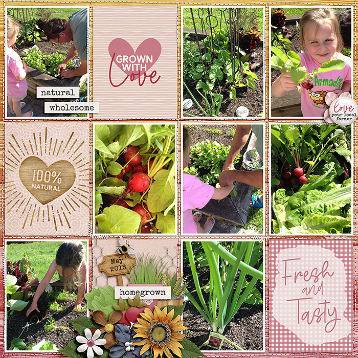 ponytails_FarmersMarket_treed-stitchedgrids2_web