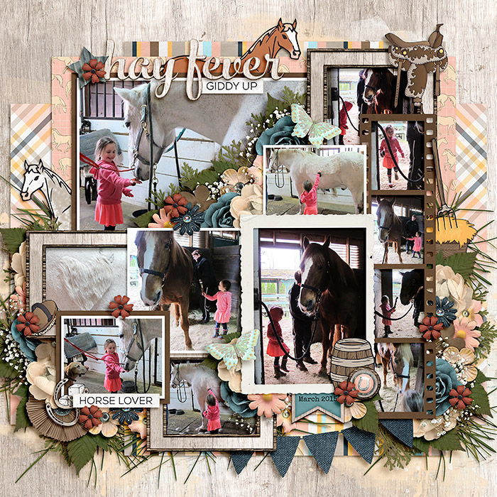 ponytails_HayFever_showcase10_web
