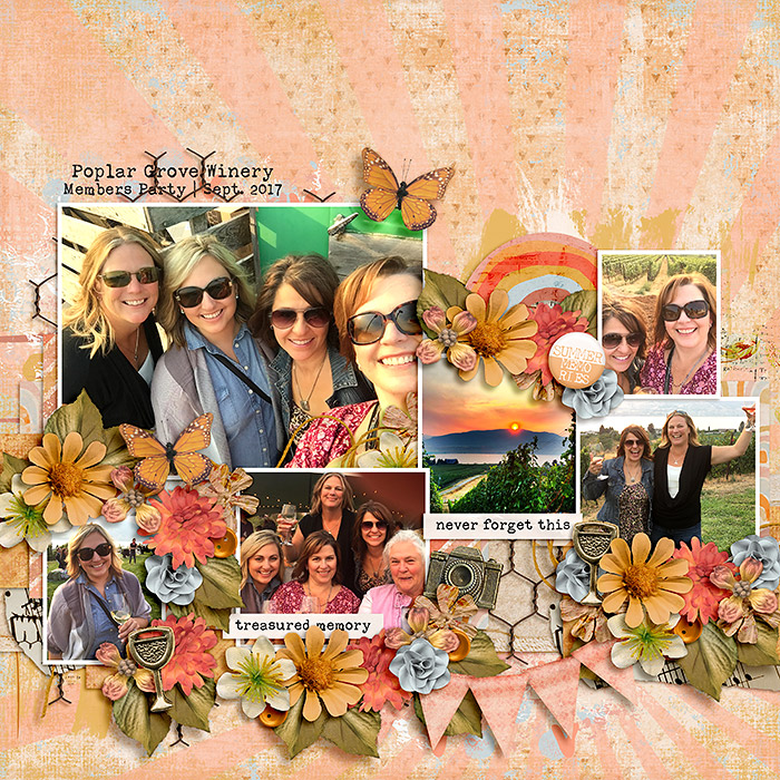 ponytails_SummerMemoNF_RayOfLight3_-web