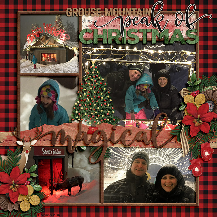 ponytails_countrychristmas_cschneider-funframes-christmas_-web
