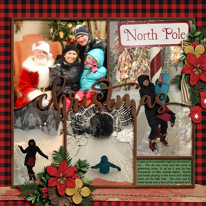 ponytails_countrychristmas_cschneider-funframes-christmas_2-web