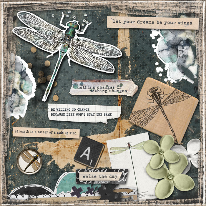 prd_black_friday_anisoptera