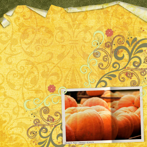 pumpkins_meyersfarm_72