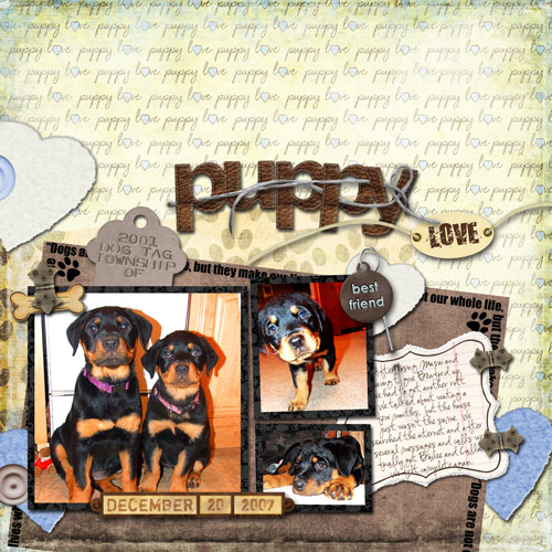 puppies-web