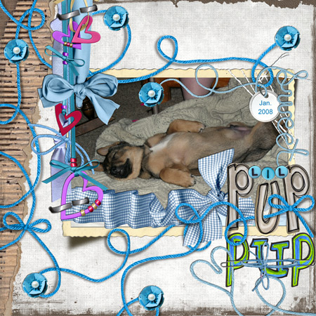 puppup_web