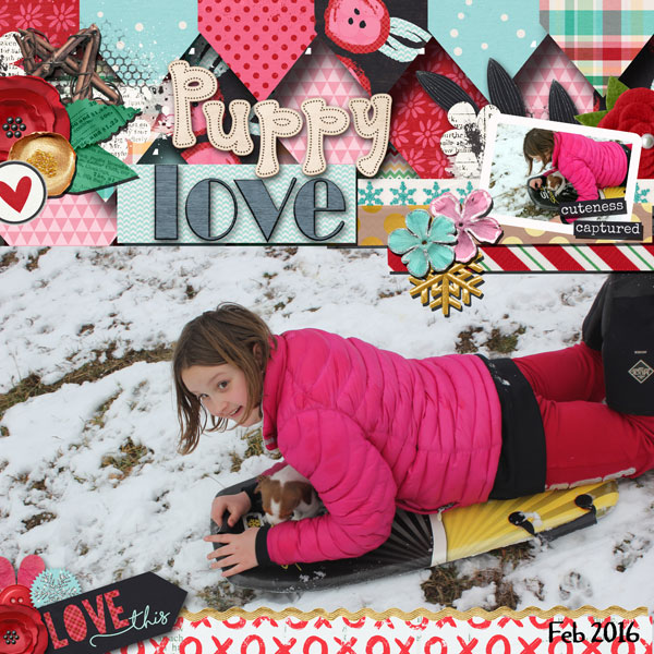 puppy-love-2016