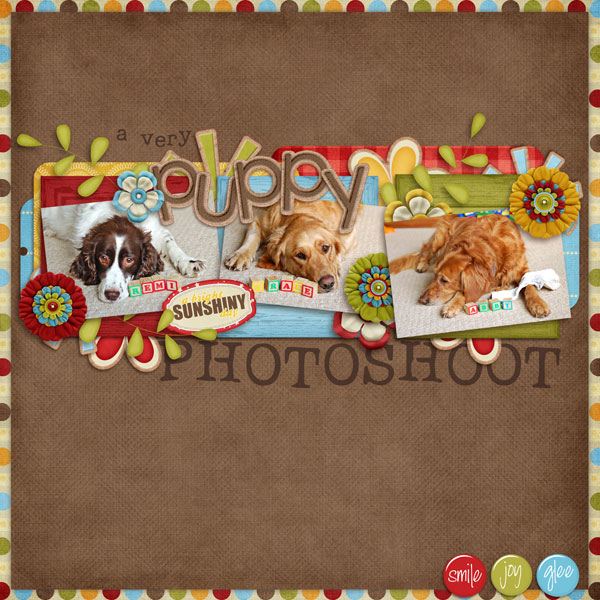 puppy-photoshoot