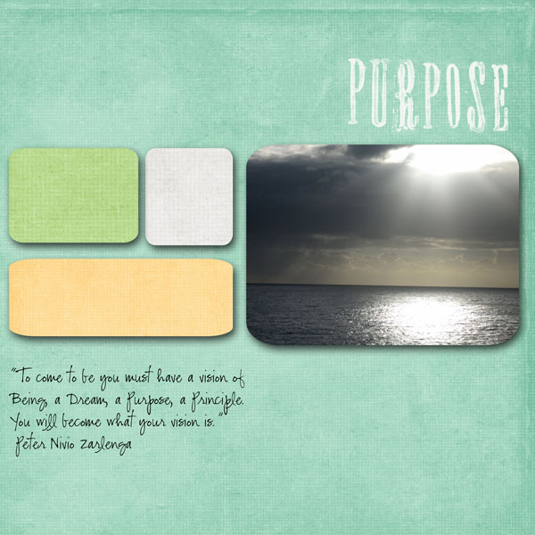 purpose1