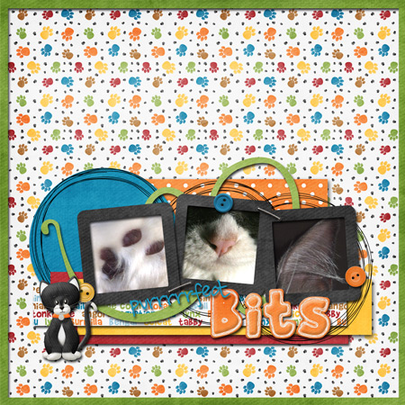 purrrfect-bits