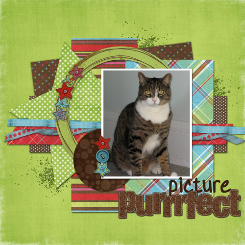 purrrfect
