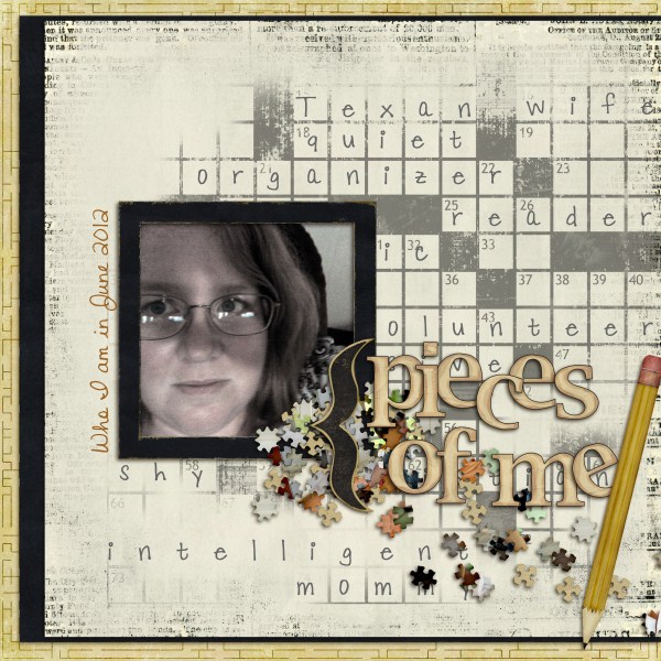 puzzled_wendymessy_tracy_lliella_600_x_600_