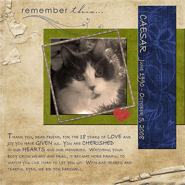 remember-websize