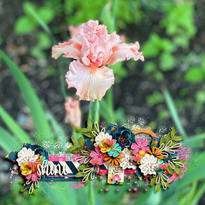 riverrose-starshine-LEA1
