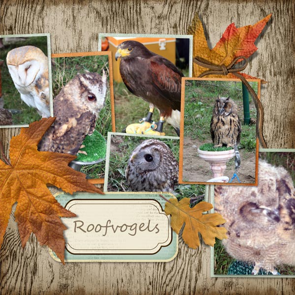 roofvogels