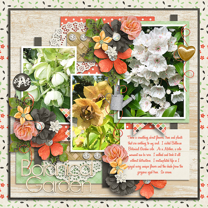 rose-garden-_-life-is-adventure-4-700