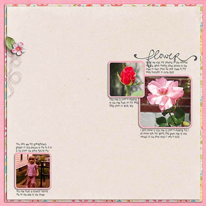 roses-by-dee-birks
