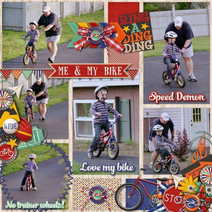 rsz_dt_dd_dombike2007_print