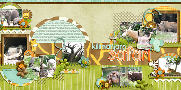 safari_doubleweb