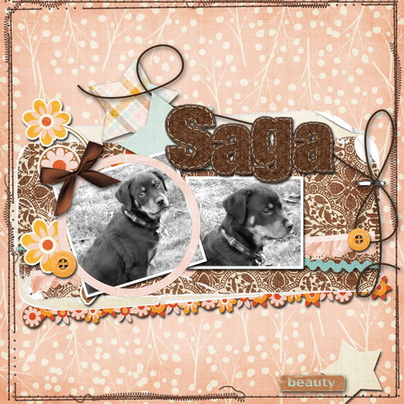 saga_copy