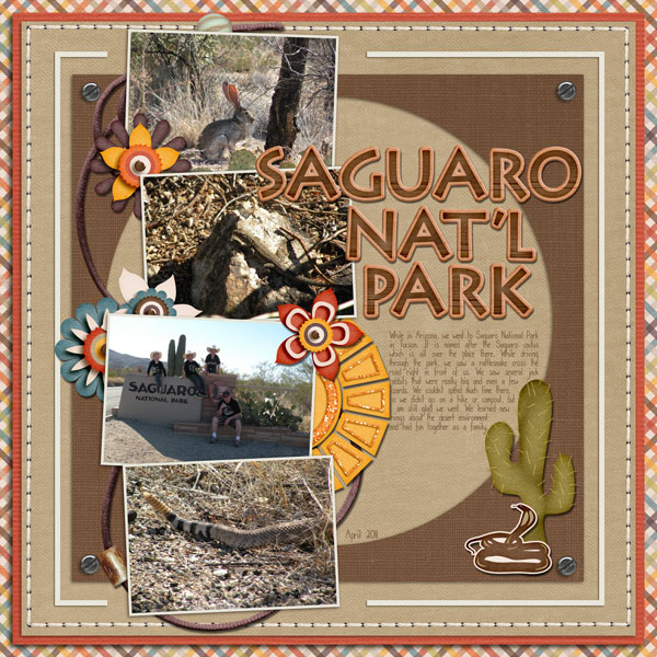 saguaro-np-wr