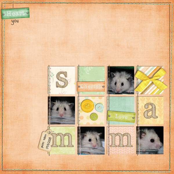 samm_forweb