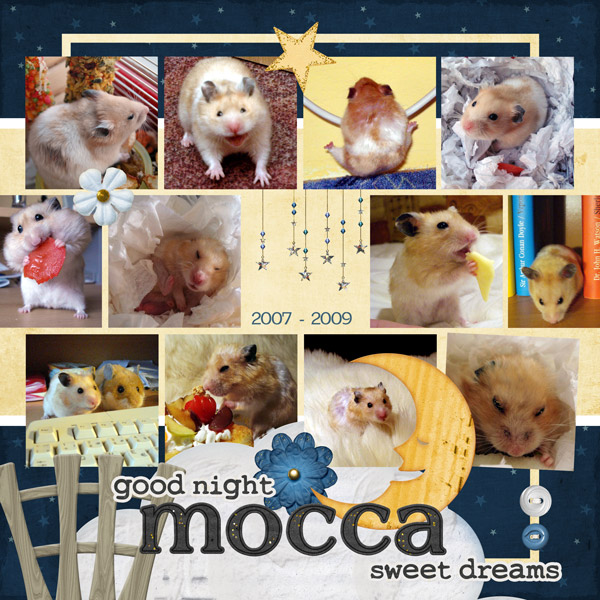 scrapbooking_draha_mocca_small