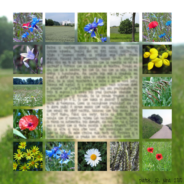 scrapbooking_moi_nevadze_small