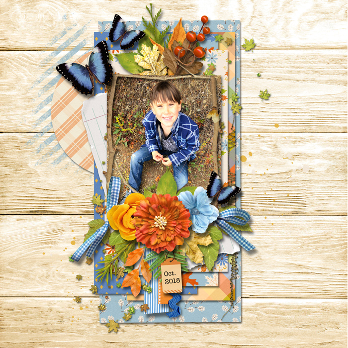 scrapliftsheri2018web