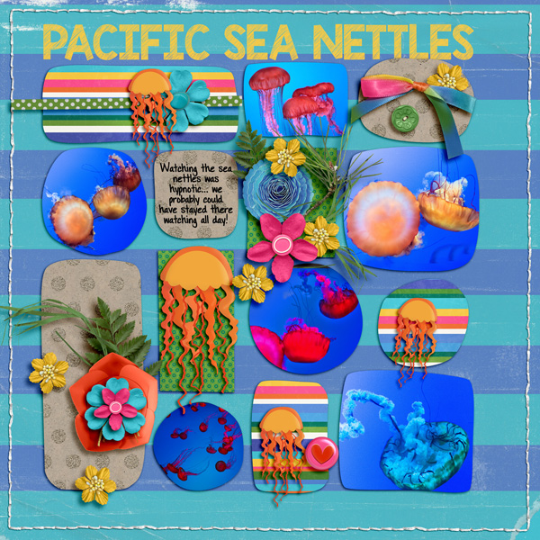 sea-nettle