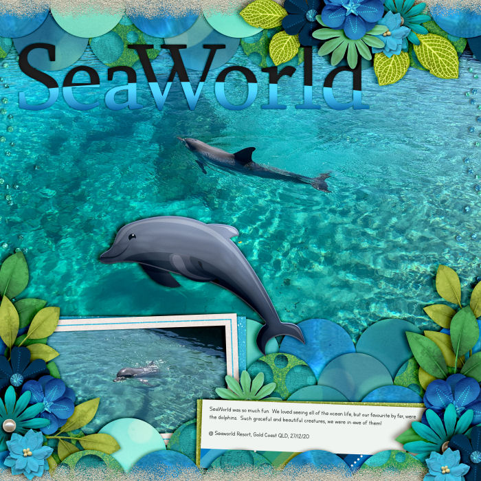 seaworld_dolphins700