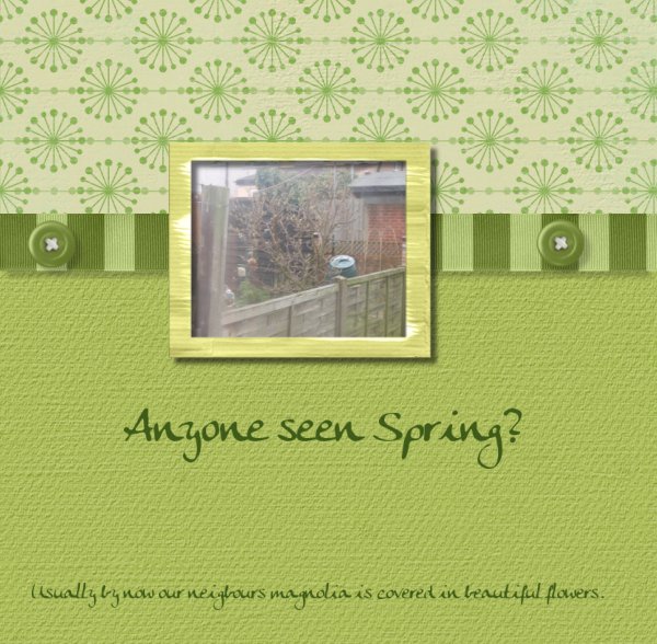 seen_spring