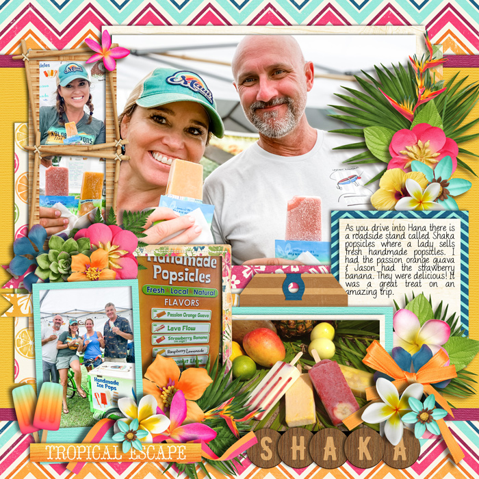 shaka2019web