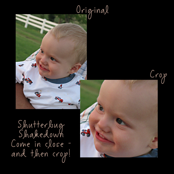 shakedowncrop
