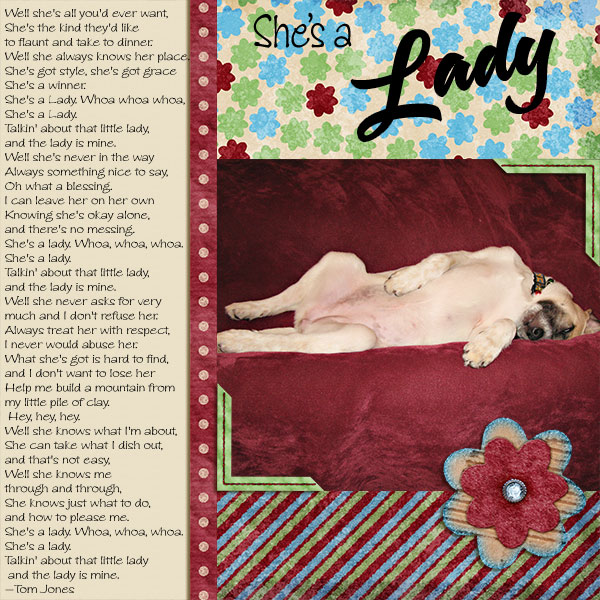 shealady