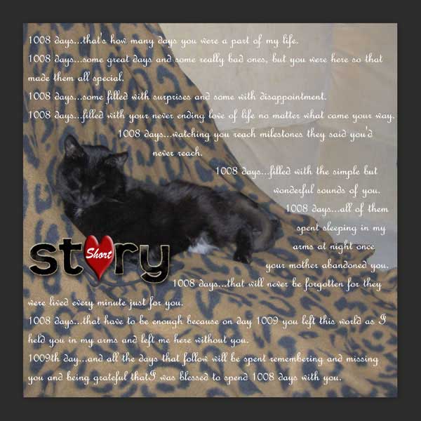 shortlovestory