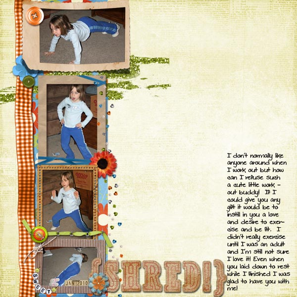 shred_copy