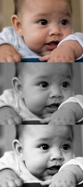 shutterbug-_3