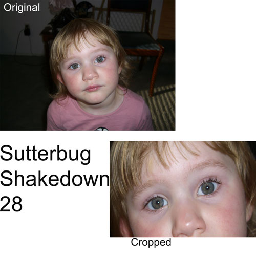 shutterbug-shakedown-28