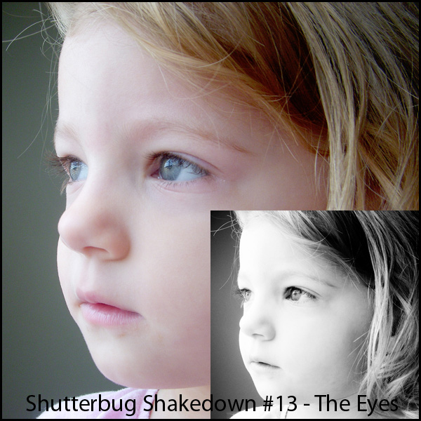 shutterbug13final