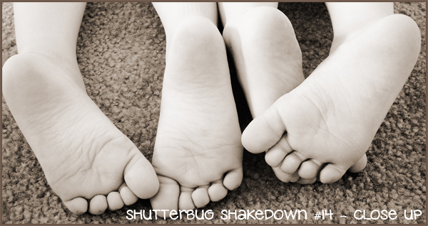 shutterbug14toes