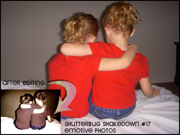 shutterbug17ds