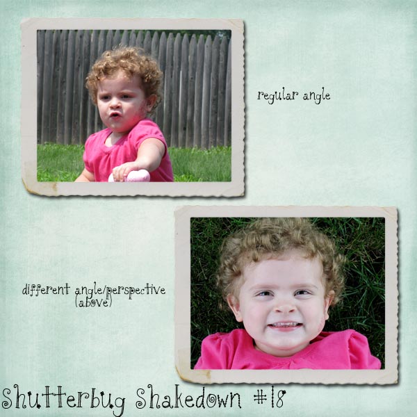 shutterbug18