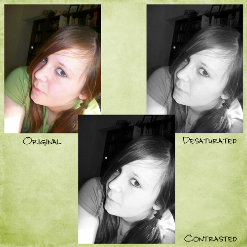 shutterbug3_web